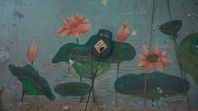 Anoche te vi sonreír